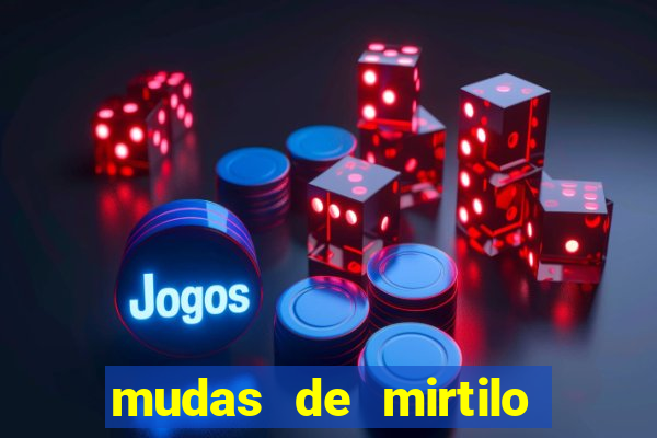 mudas de mirtilo em porto alegre